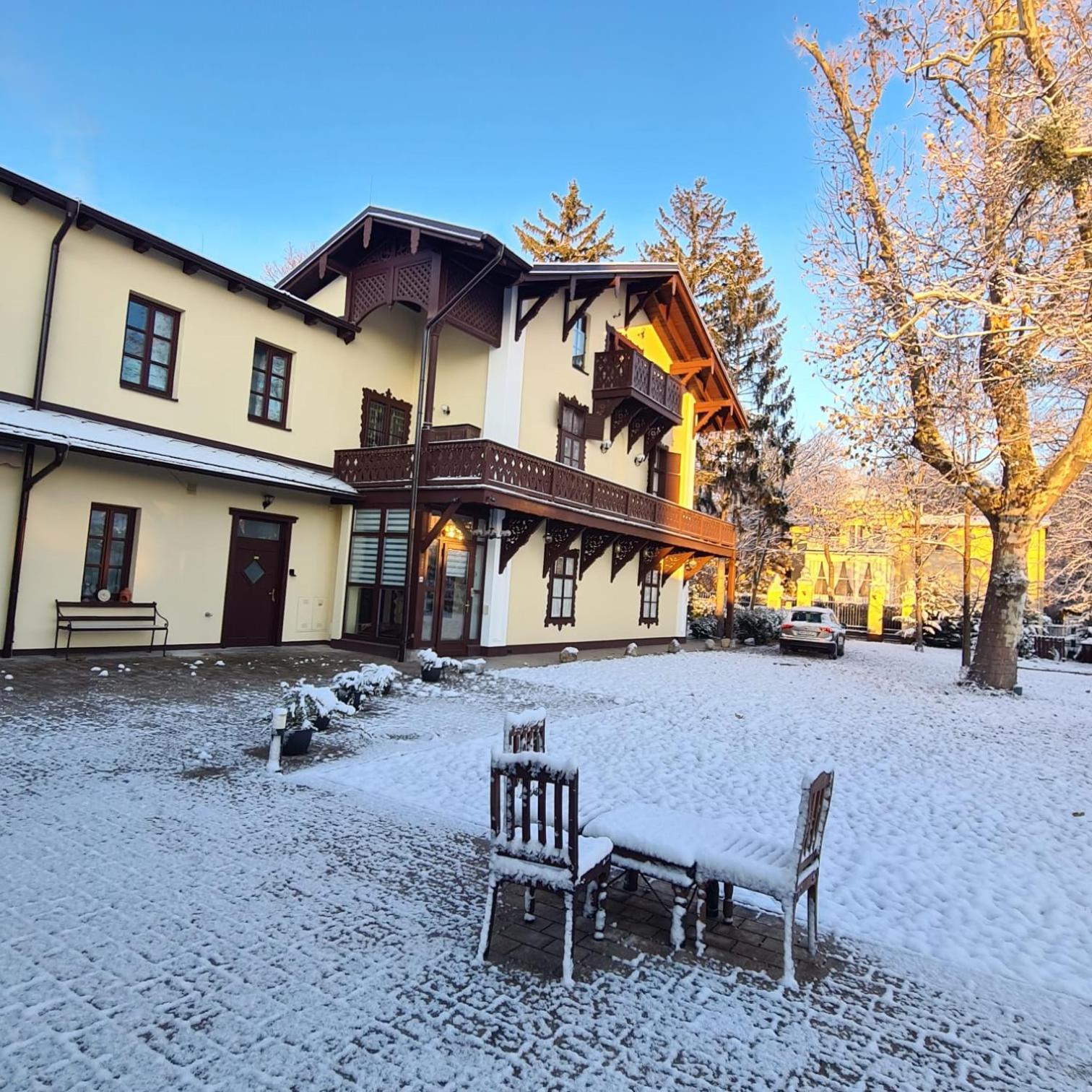 Villa Musik - Historical Apartments In Baden Exterior foto